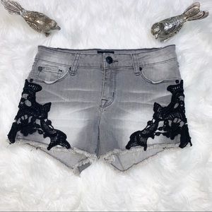 Hudson Gray Black Lace Cutoff Shorts Sz 16